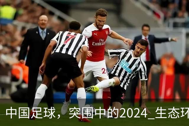中国足球，突围中的2024 生态环境将实现好转