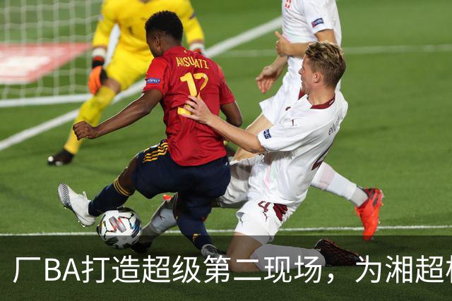 厂BA打造超级第二现场，为湘超株洲队加油！