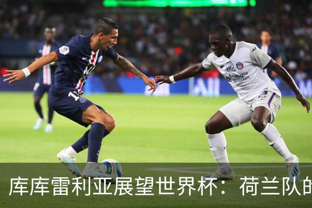 库库雷利亚展望世界杯：荷兰队的崛起与厄瓜多尔的挑战