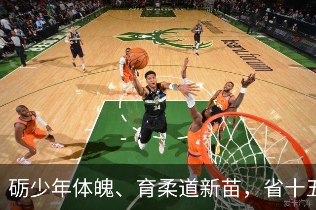 砺少年体魄、育柔道新苗，省十五运会青少年组柔道比赛火热举行