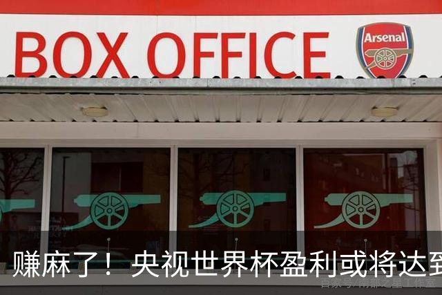 赚麻了！央视世界杯盈利或将达到50-60亿元人民币